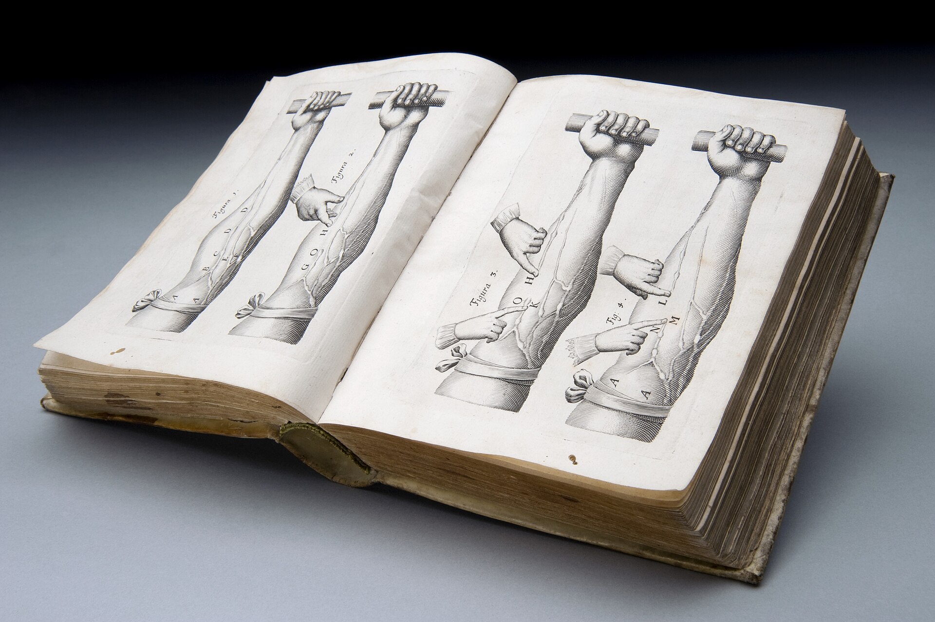 Open copy of William Harvey's De Motu Cordis showing experiments on venous valves