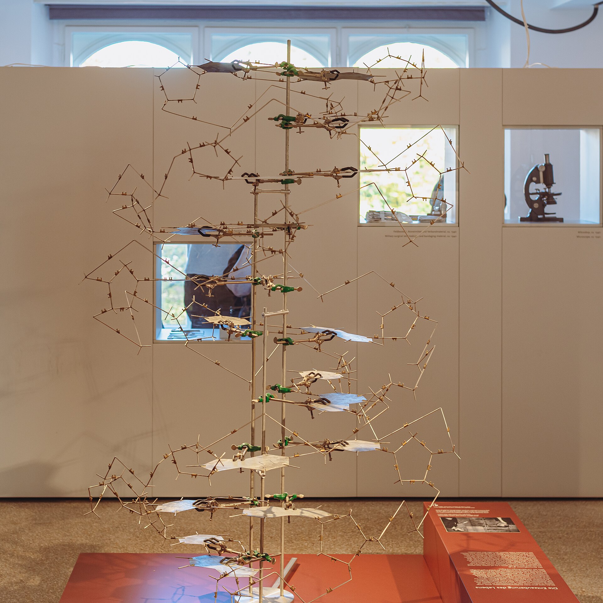 Replica of the 1953 DNA double-helix model