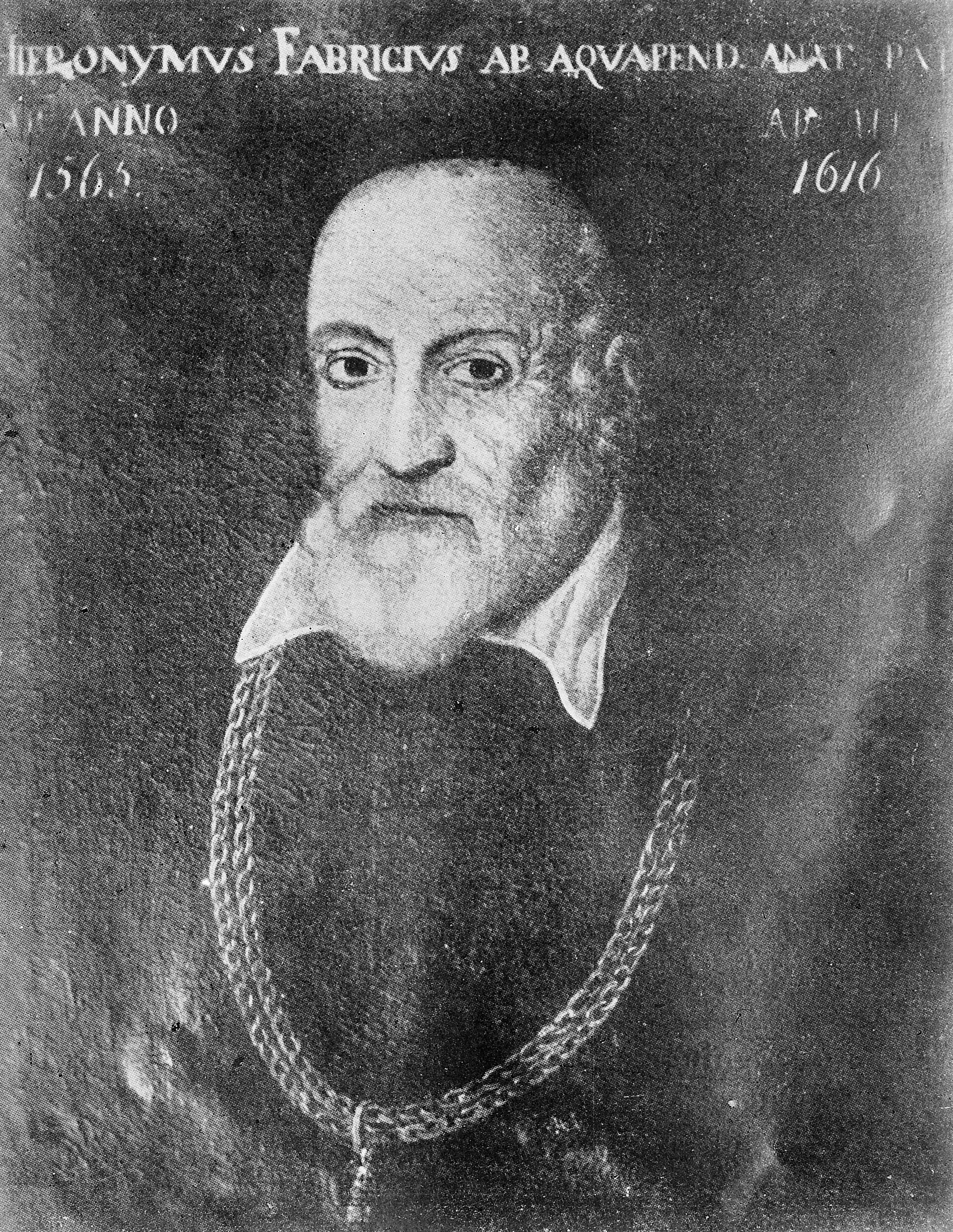 Historical portrait of Hieronymus Fabricius