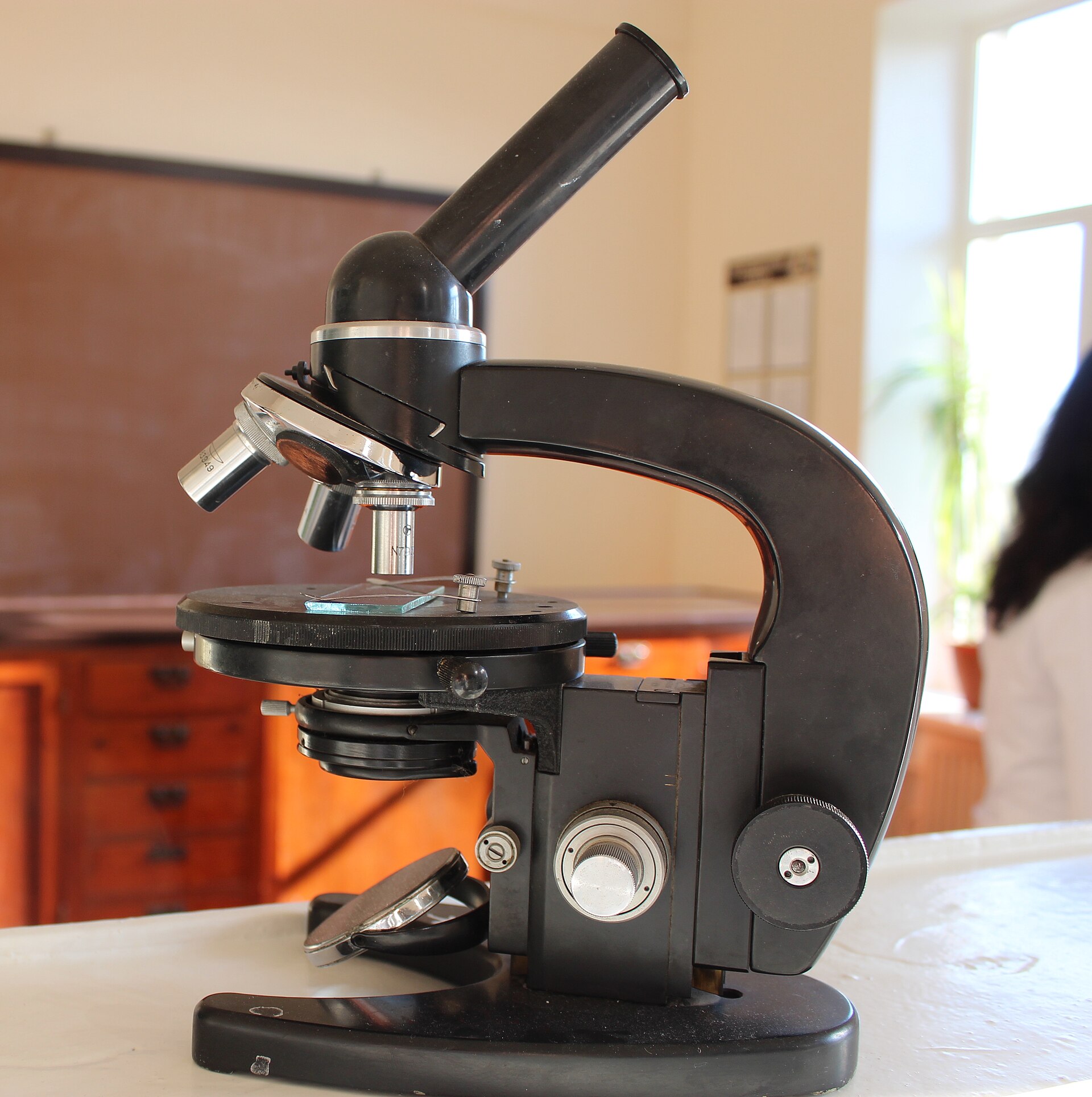 A modern laboratory microscope